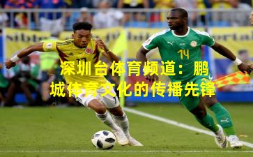 深圳台体育频道:鹏城体育文化的传播先锋
