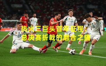 热火三巨头首年征程：总决赛折戟的磨合之痛