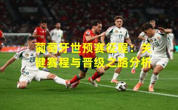 葡萄牙世预赛征程：关键赛程与晋级之路分析