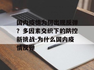 国内疫情为何出现反弹？多因素交织下的防控新挑战-为什么国内疫情反弹