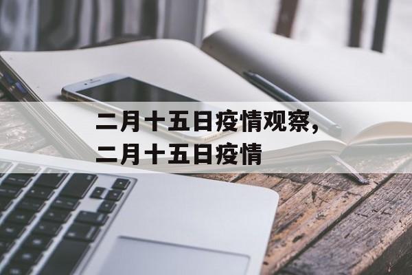 二月十五日疫情观察,二月十五日疫情